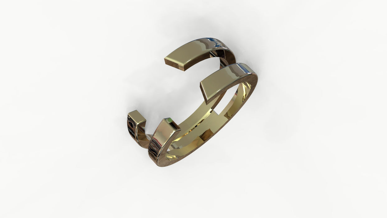 Alliance COMPLICITE (pour solitaire de 1.04 ct)